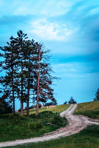 Road amidst trees on field against sky