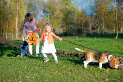 Full length of cute girl pulling dog while mother caring son in park during autumn