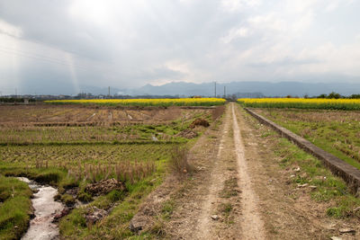 landscape
