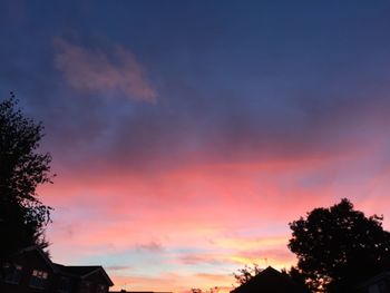 Low angle view of silhouette trees against orange sky