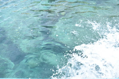 High angle view of swimming pool in sea