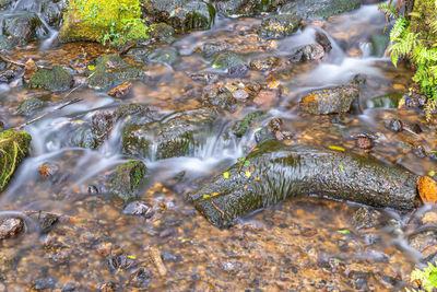 Stream and running water through forest with long exposure to create blurred water