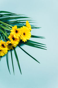 High angle view of yellow flowers and leaf on table