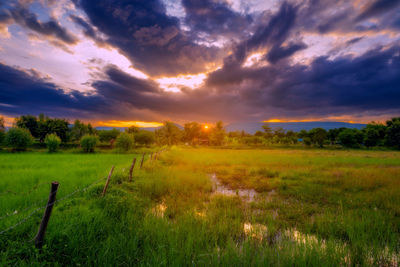 Scenic view of field against sky during sunset