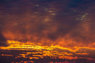 Low angle view of orange sky