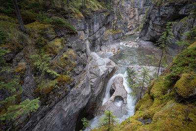 Scenic view of waterfall in forest