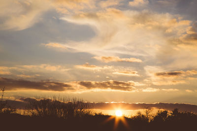 Scenic view of tree silhouettes and clouds in sky during dramatic sunset