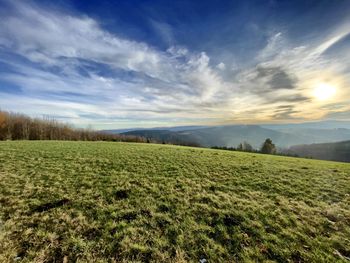 Scenic view of field against sky