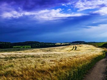 Scenic view of grassy field against cloudy sky