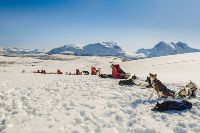 View of people riding horse on snowcapped mountain against sky