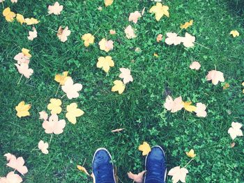 Low section of person standing on field