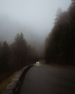 Road amidst trees against sky during winter