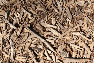 Full frame shot of wood