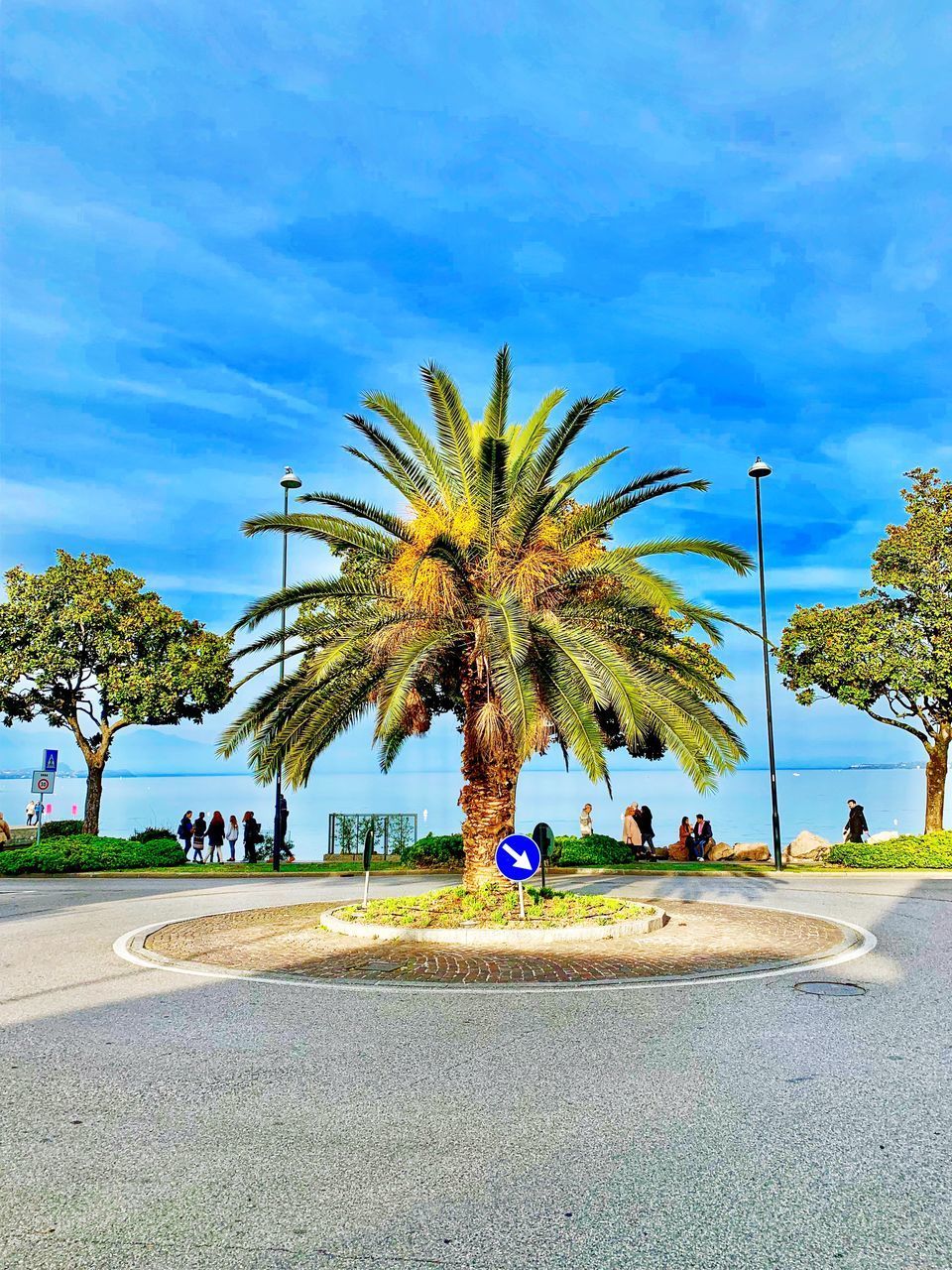 PALM TREE BY ROAD AGAINST SKY