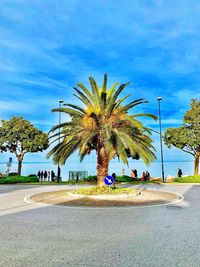 Palm trees on road against sky in city