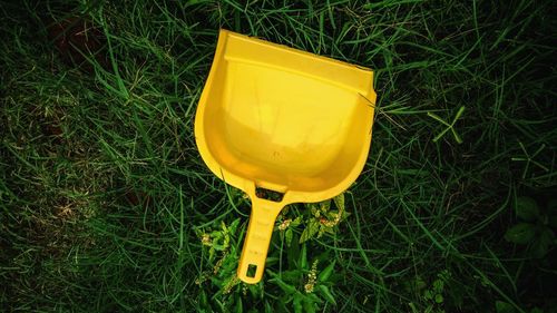 Close-up of yellow grass on field