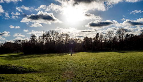 Scenic view of golf course against sky