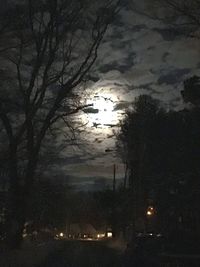 Bare trees against sky at night