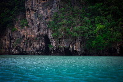 Scenic view of sea