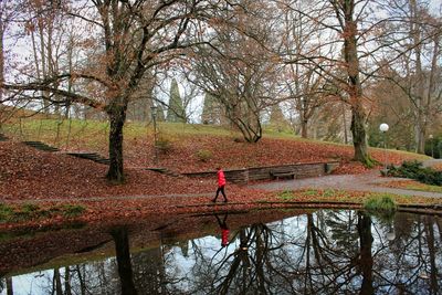 Reflection of bare trees in canal during autumn