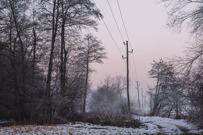 Bare trees on snow covered landscape