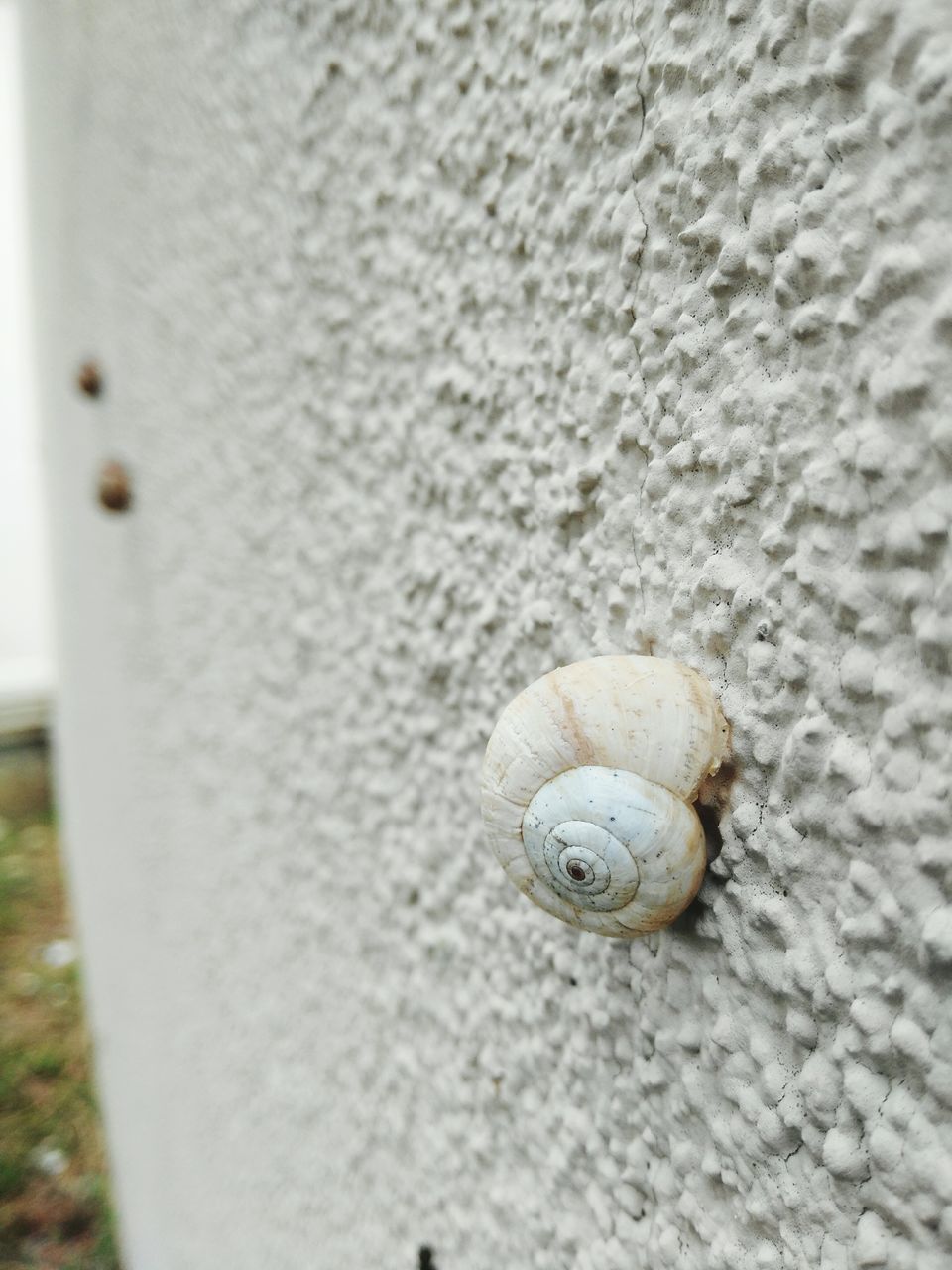 close-up, focus on foreground, selective focus, day, no people, hole, nature, ground, detail