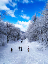 snow