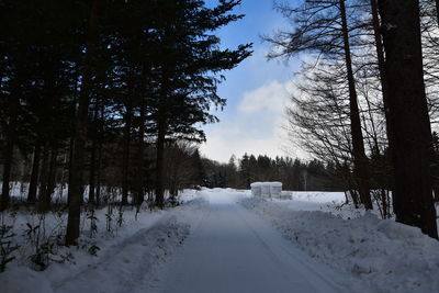 Snow covered road amidst trees against sky during winter