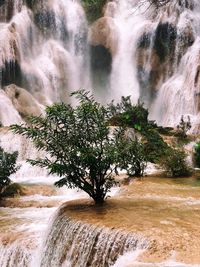 Scenic view of waterfall