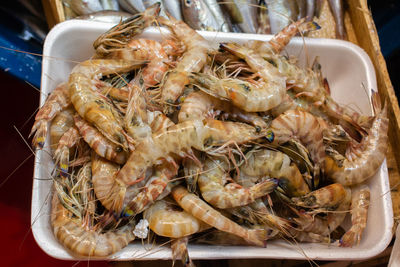 High angle view of seafood in plate