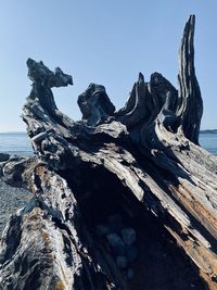 Driftwood on rocks by sea against clear sky