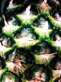 Full frame shot of leaves