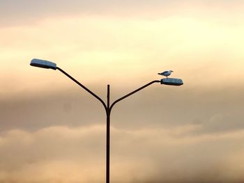 Low angle view of street light against sky