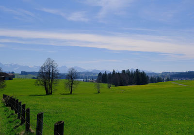 Scenic view of field against sky