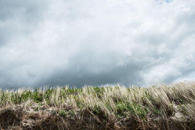 Scenic view of landscape against cloudy sky