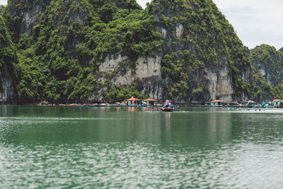 Trees on mountain at halong bay