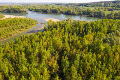 Floodplain of the drava river in croatia