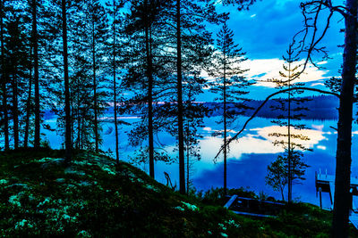 Low angle view of trees against blue sky