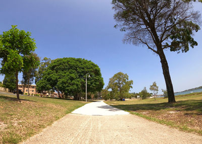 Road amidst trees on field against sky