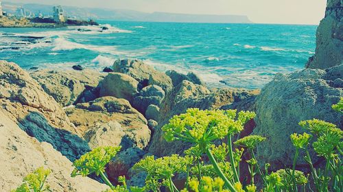 Scenic view of sea against sky