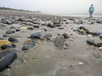 Rear view of man on beach