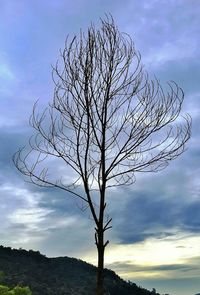 Low angle view of bare tree against cloudy sky