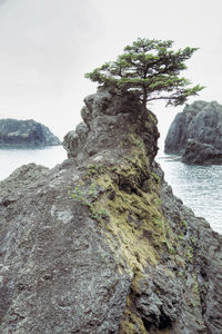 Rock formations on coast