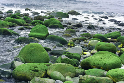 Rocks in sea