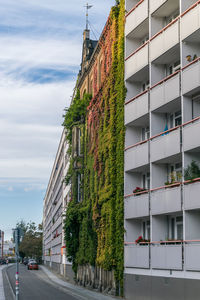 Street by building against sky