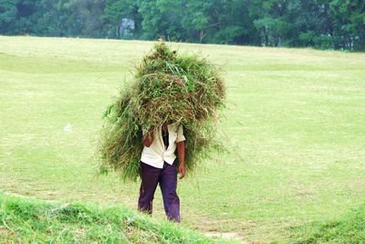 Man working in farm