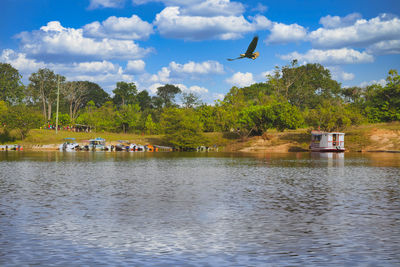 Beautiful river landscape of the amazon river