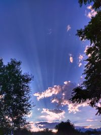 Low angle view of silhouette trees against blue sky