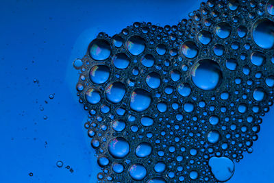 Close-up of water drops on blue background