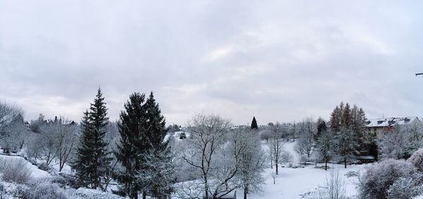 Trees on snow covered landscape against sky